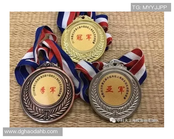 杭州羽毛球队个人能力分析与联赛表现评估