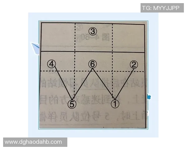 杭州排球队最新战术解析排球战术TOP10全面解读