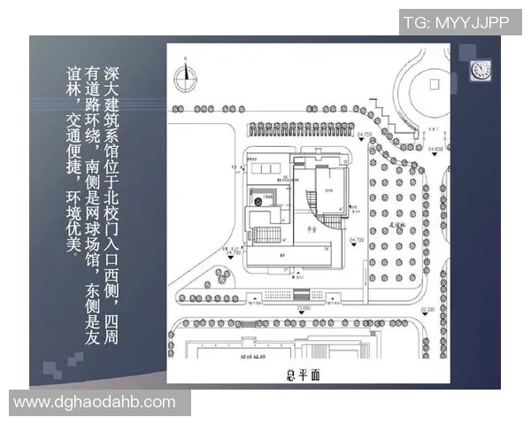 深圳排球队个人能力分析与表现评估研究报告